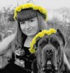 эффективная программа похудения